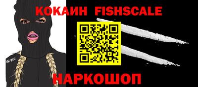 спиды Камышлов
