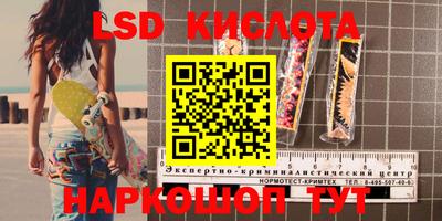 спиды Камышлов