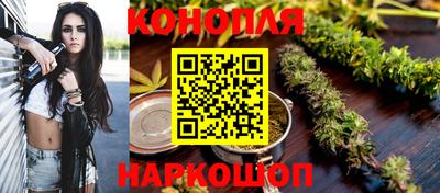 спиды Камышлов