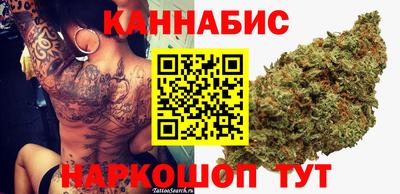 спиды Камышлов