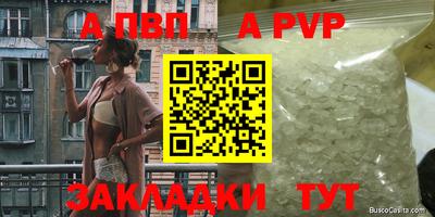 спиды Камышлов