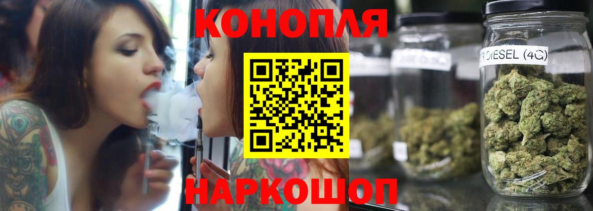 Каннабис план Электросталь
